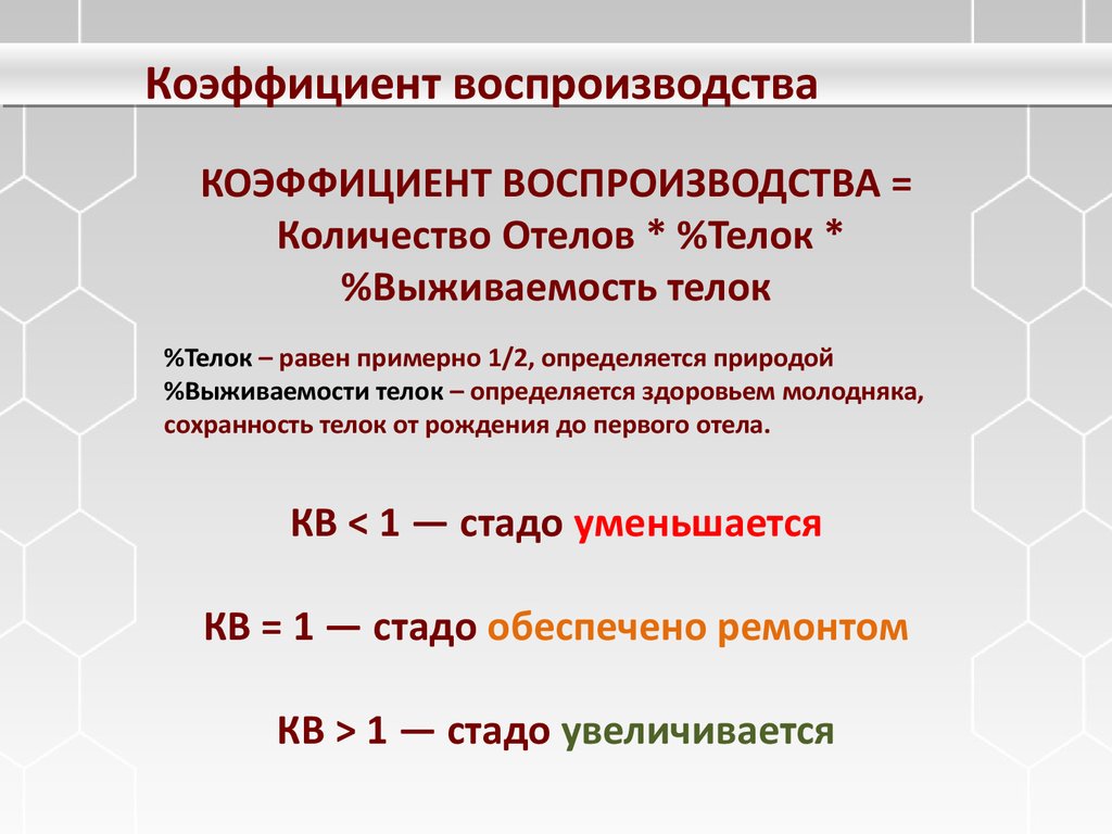 Воспроизводство системы образования