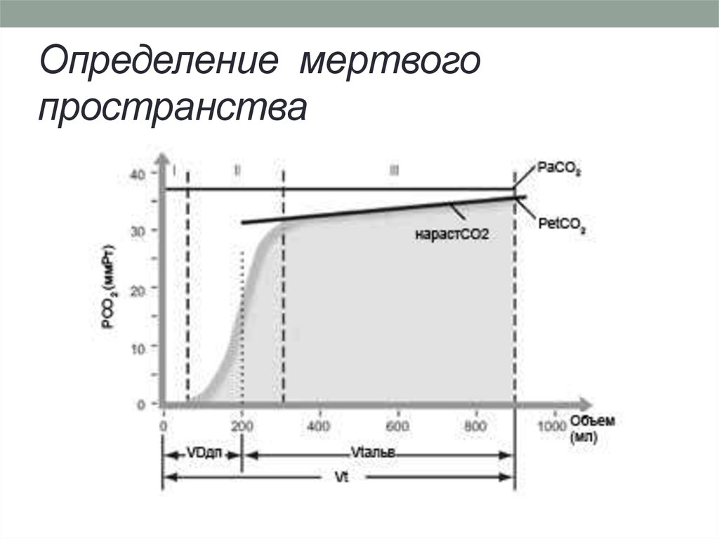 Физиологическое мертвое пространство. Легочные объемы методика измерения Мертвое пространство. Объем мертвого пространства. Определение мертвого пространства. Объем мертвого пространства равен.