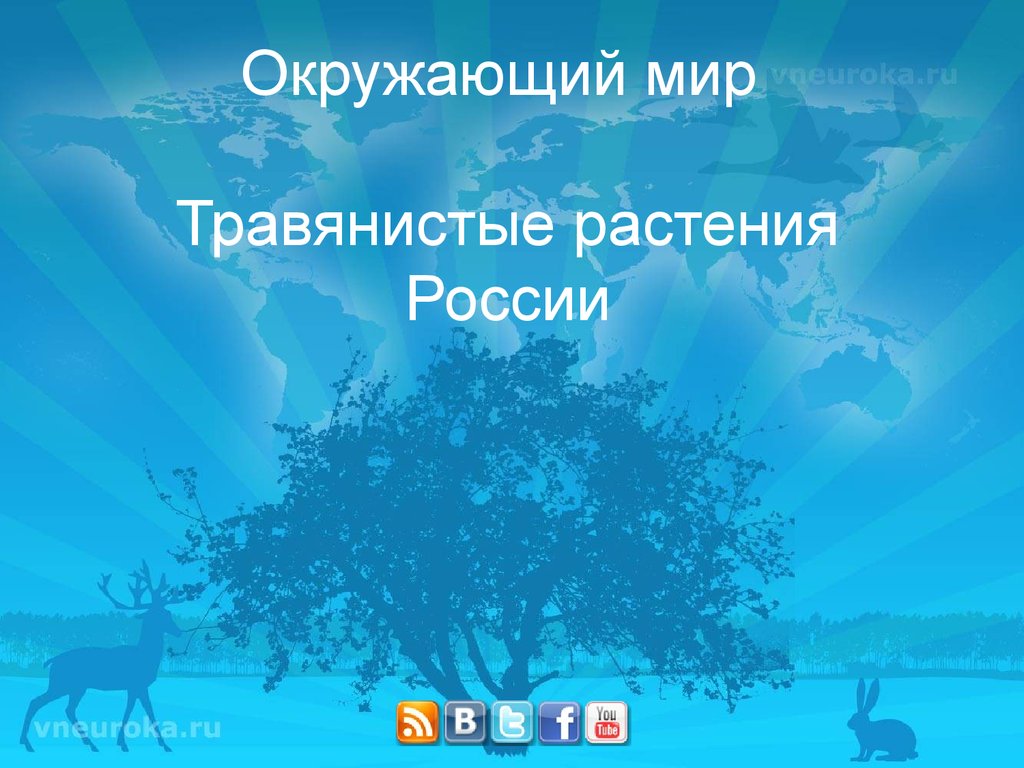 Окружающий мир Травянистые растения России