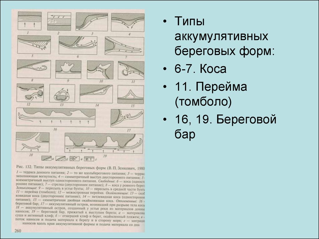 Берег формы. Типы аккумулятивных береговых форм. Аккумулятивные формы Берегового рельефа. Береговые аккумулятивные формы моря. Акумативные форма рельефа.