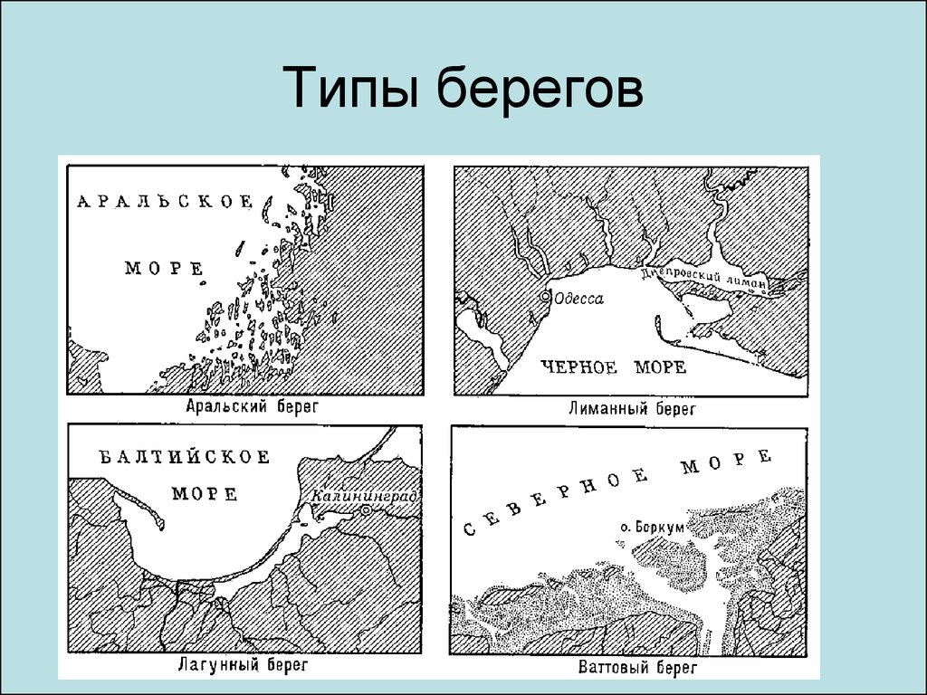 Виды берегов. Риасовый Тип берега. Типы морских побережий. Классификация морских берегов.