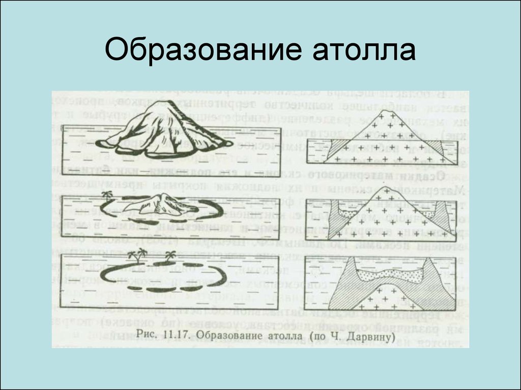 Образование атолла схема