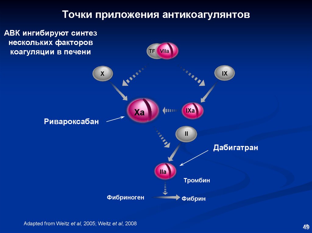 Точка приложения. Точки приложения антикоагулянтов. Антикоагулянты фармакокинетика. Антикоагулянты схема.