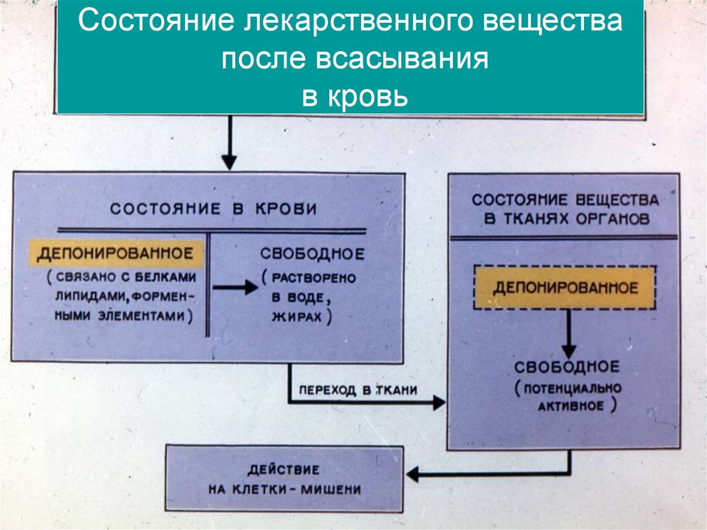 После вещество. После всасывания в кровь лекарственное вещество. Действие лекарственного вещества после его всасывания в кровь. Действие лекарственных средств после всасывания в кровь. Действие лекарственного препарата после всасывания в кровь.