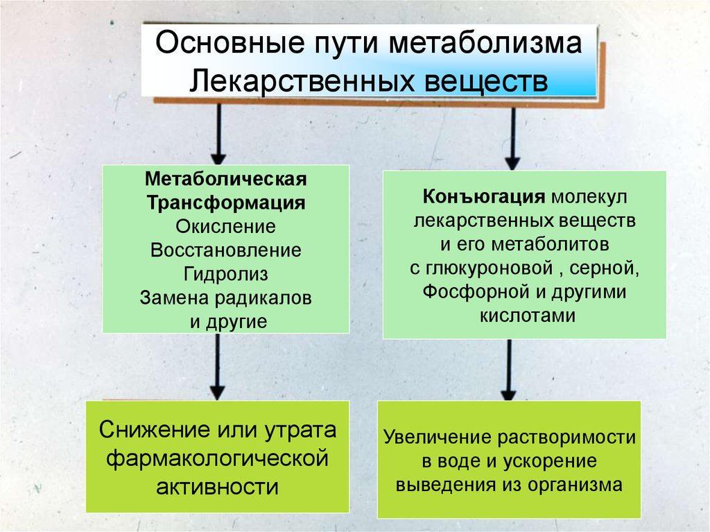 Пути метаболизма. Пути выведения лекарственных веществ. Метаболическая трансформация и конъюгация лекарственных средств. Конъюгация при биотрансформации лекарственных процессы. Лекция презентация.