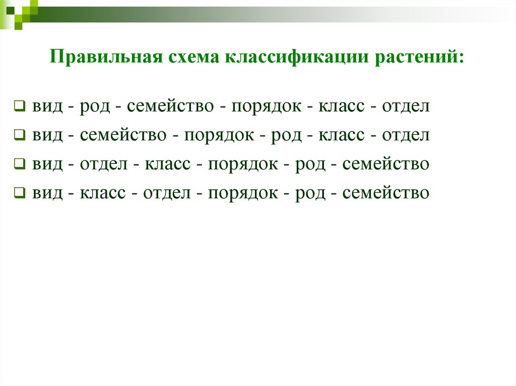 Правильная схема классификации растений вид род семейство