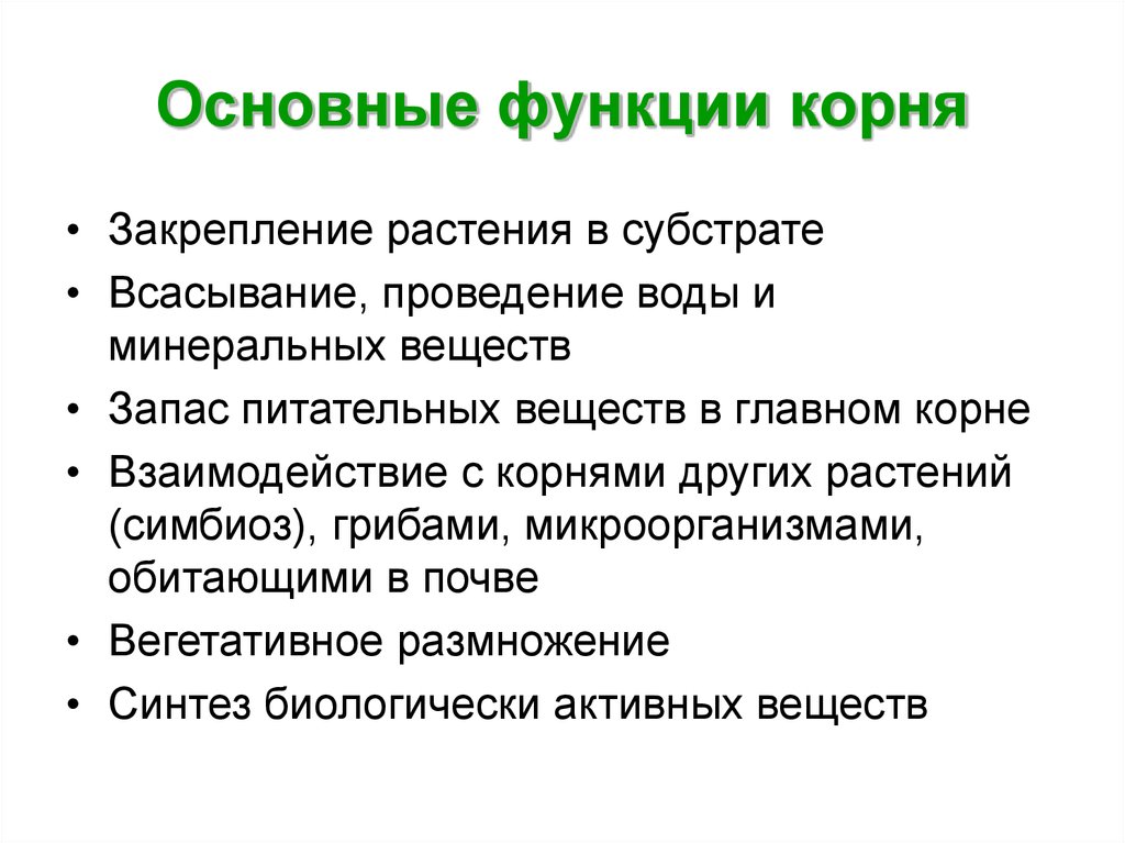 Образование кислорода закрепление в субстрате