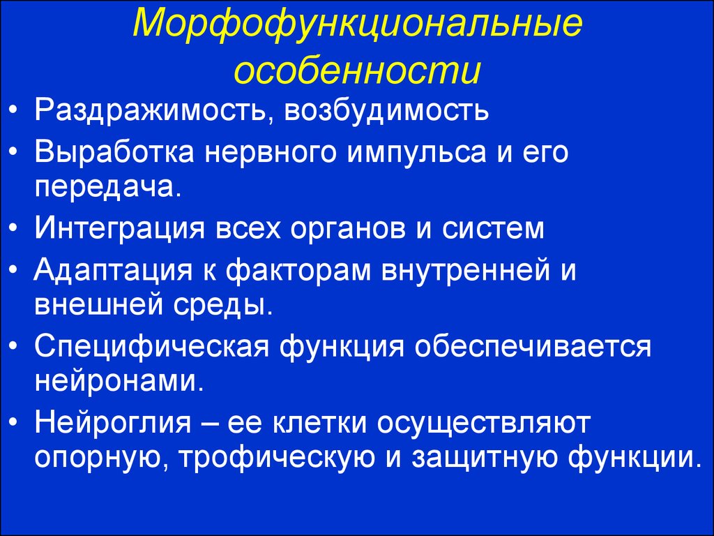 Развитие органов нервной системы