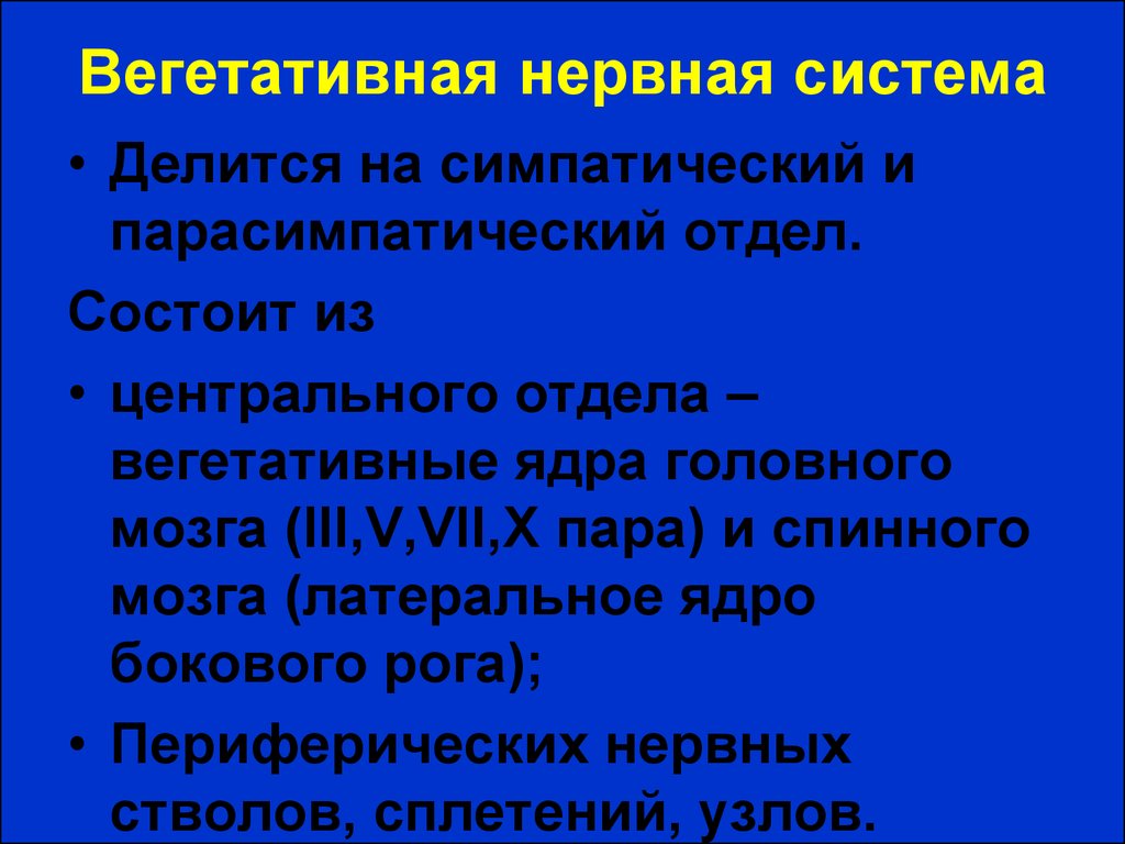 Нервная система делится на центральную и. Вегетативная система делится на. Вегетативная нервная система состоит. Вегетативная нервная система человека делится на. Вегетативная нервная система разделяется на.