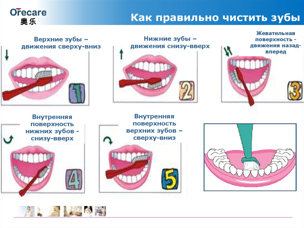 Рот презентация для дошкольников