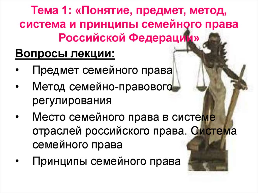 План по теме семейное право в рф