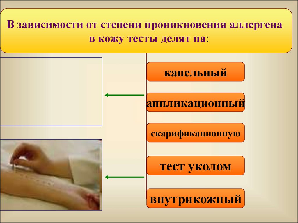 Тестом кожа. Пути проникновения аллергена в организм тест. Кожным тестам внутрикожные тесты. Кожное тестирование механизм. Показатели скарификационного теста.