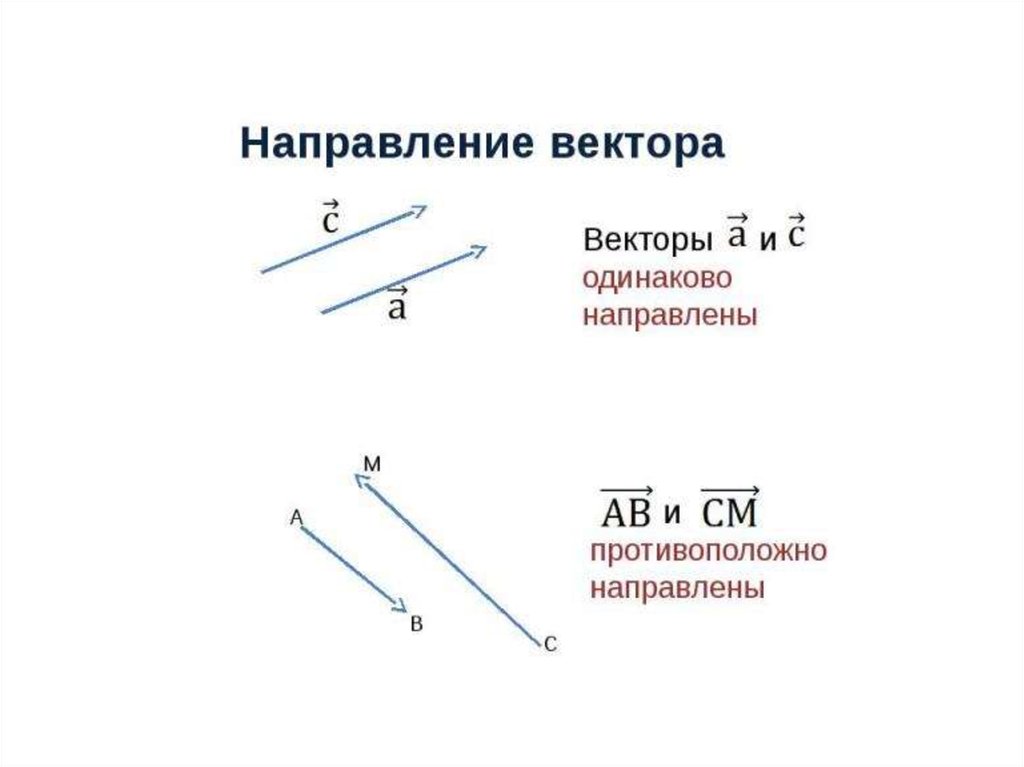 Одинаковые векторы