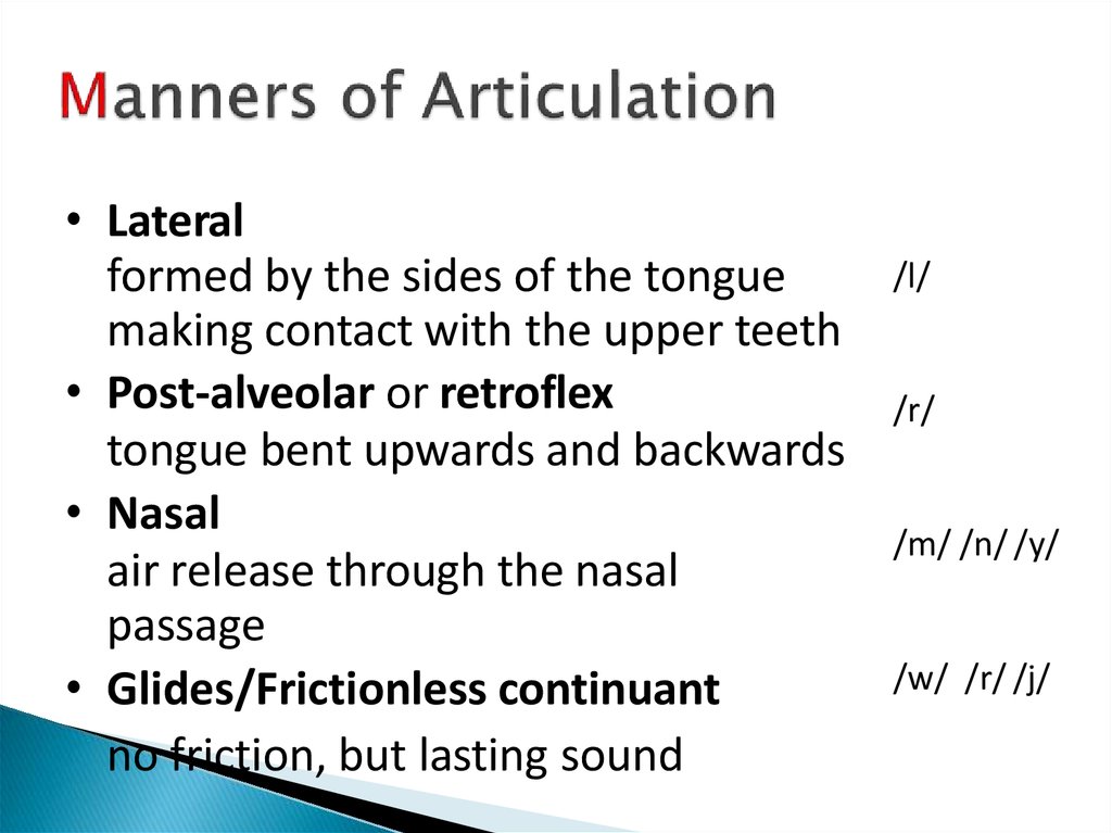 Articulatory Aspects Of Speech Sounds 