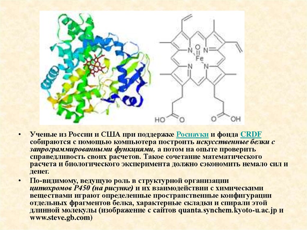 Презентация о днк