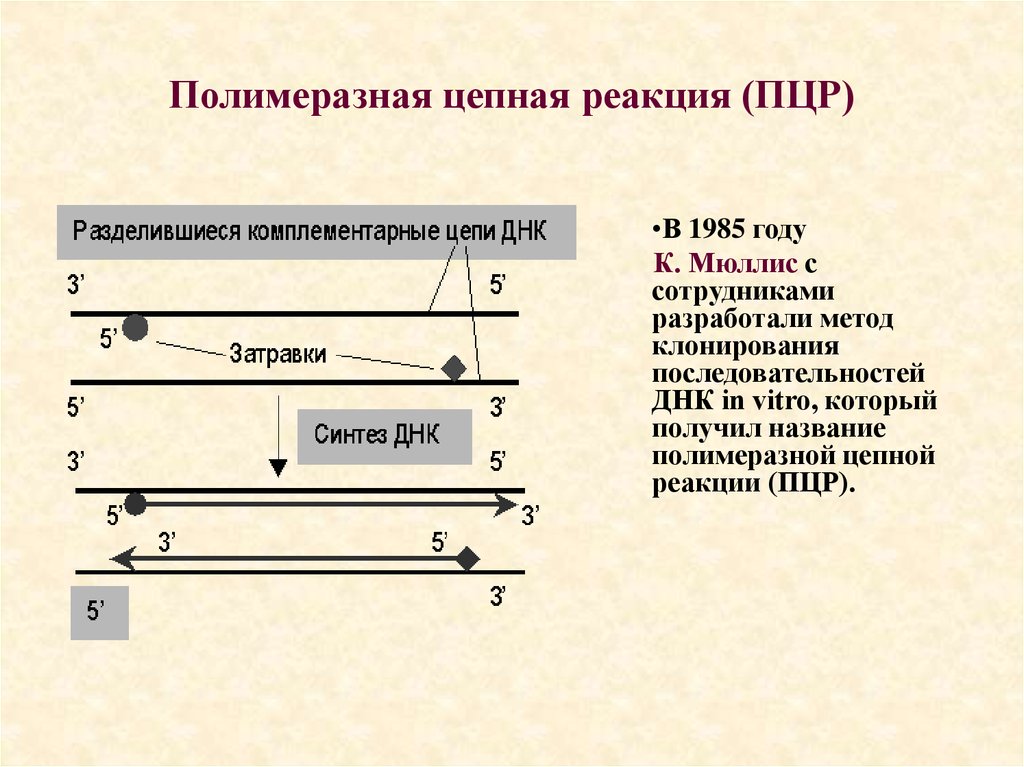 Полимеразная цепная реакция. Полимеразной цепной реакции. Механизм полимеразной цепной реакции. Полимеразная цепная реакция оборудование.