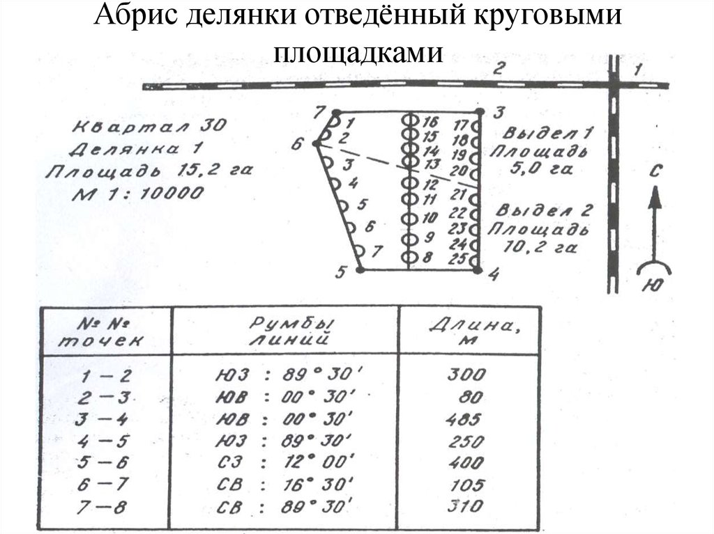 Наставление по отводу и таксации лесосек. Абрис отвода лесосеки. Абрис отвода делянки. Схема отвода лесосеки. Абрис делянки отведенный круговыми площадками.