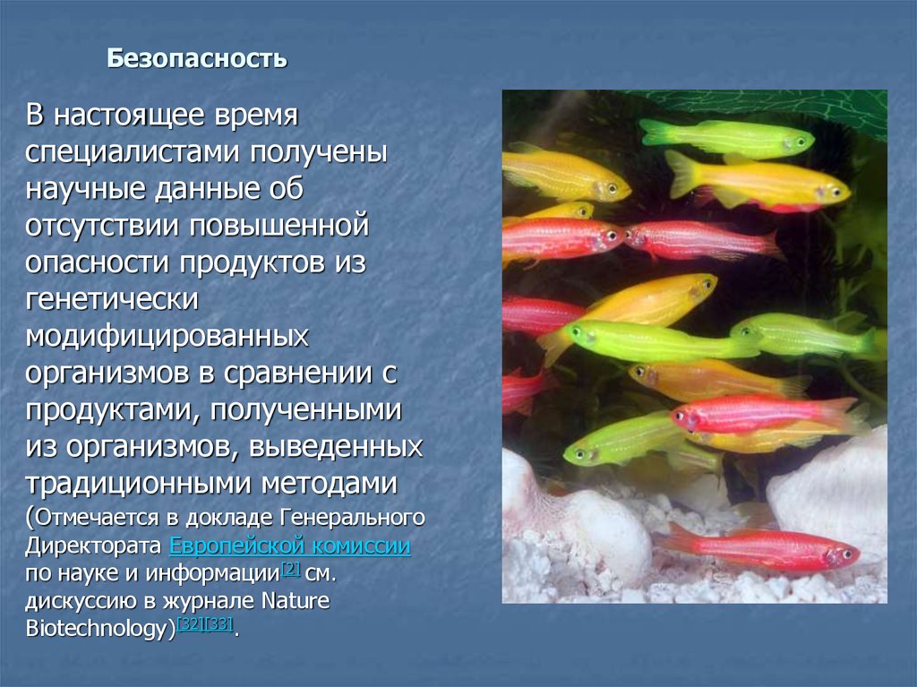 Безопасность