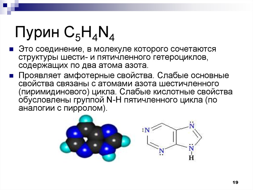 Вещество содержащее азот. Пурин гетероциклическое соединение. Гетероцикл Пурина. Амфотерные гетероциклические соединения. Пурин строение молекулы.