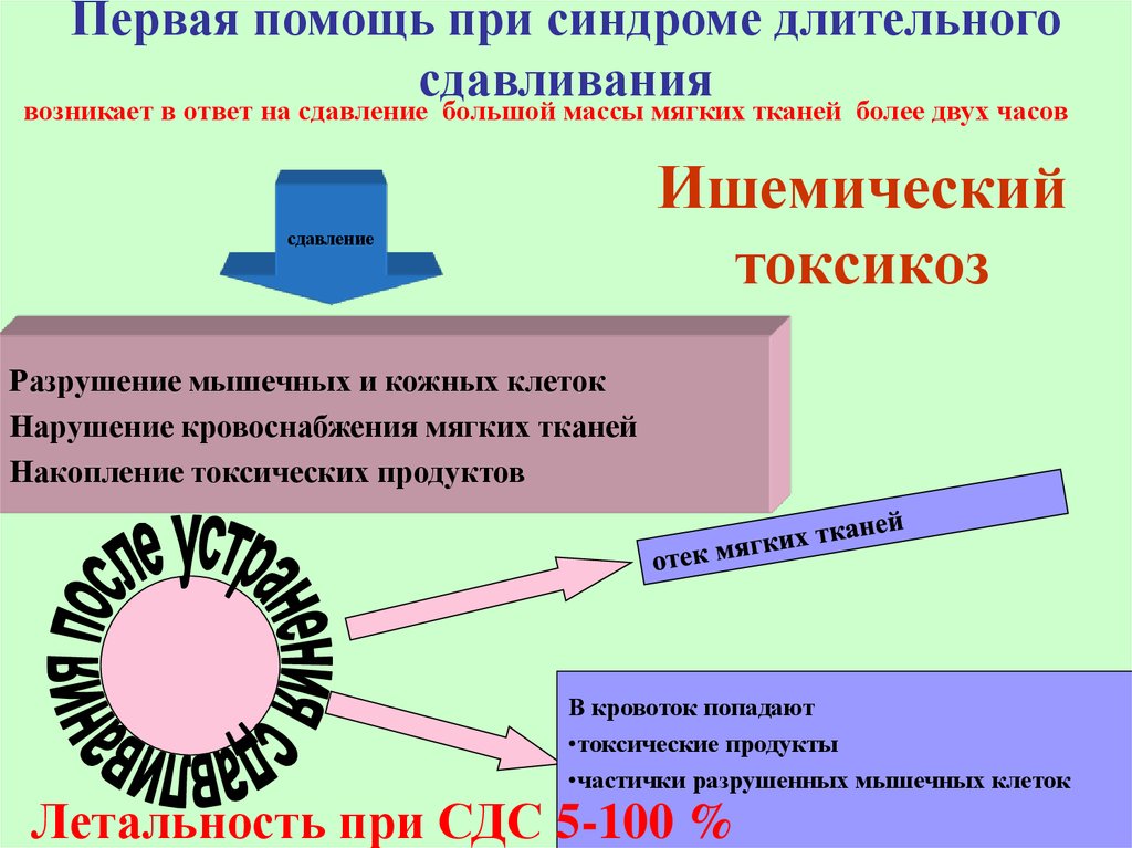 Травматический токсикоз презентация