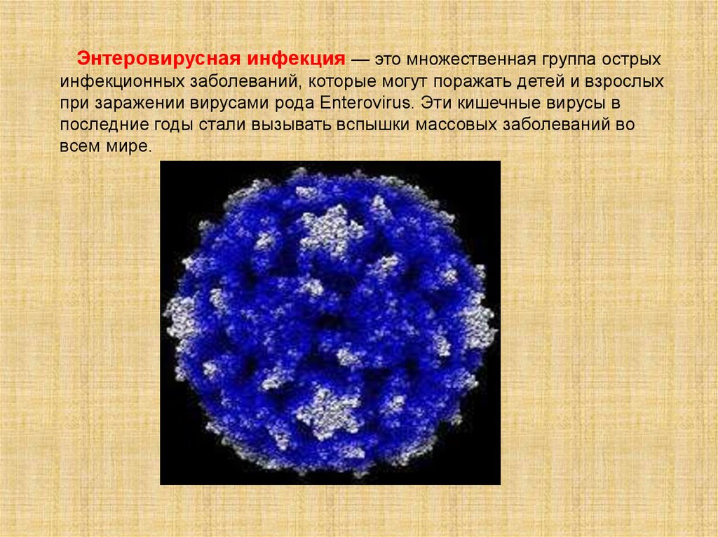 Возбудители энтеровирусных инфекций микробиология презентация