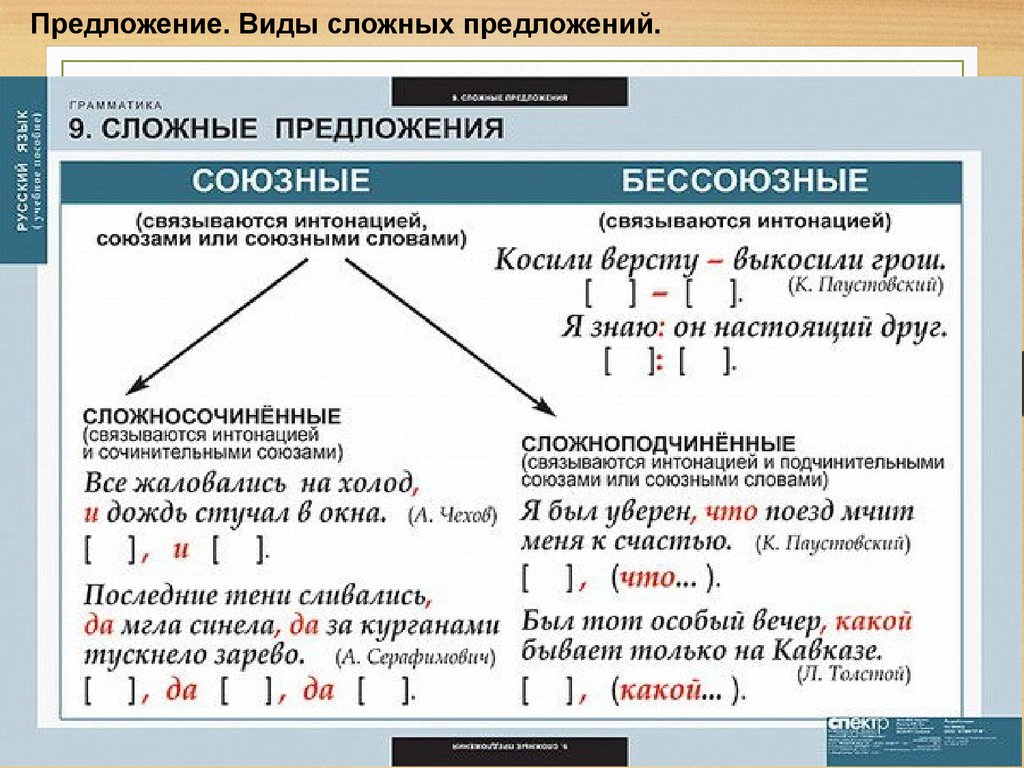 Сложные предложения в русском языке таблица. Типы сложных предложений таблица. Схема союзные и Бессоюзные сложные предложения. Типы сложных предложений в русском языке таблица.