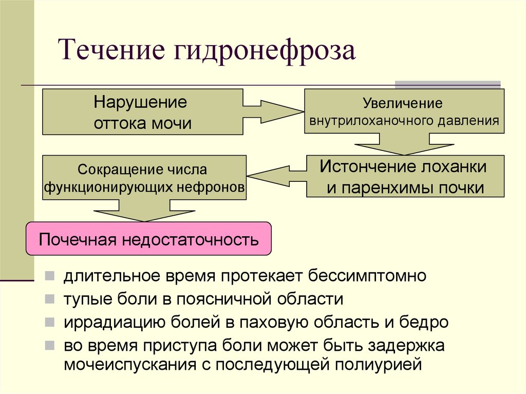 Нарушение оттока мочи. Заболевания почек и беременность презентация. Нарушение оттока мочи по УЗИ. Следствием повышения внутрилоханочного давления является.