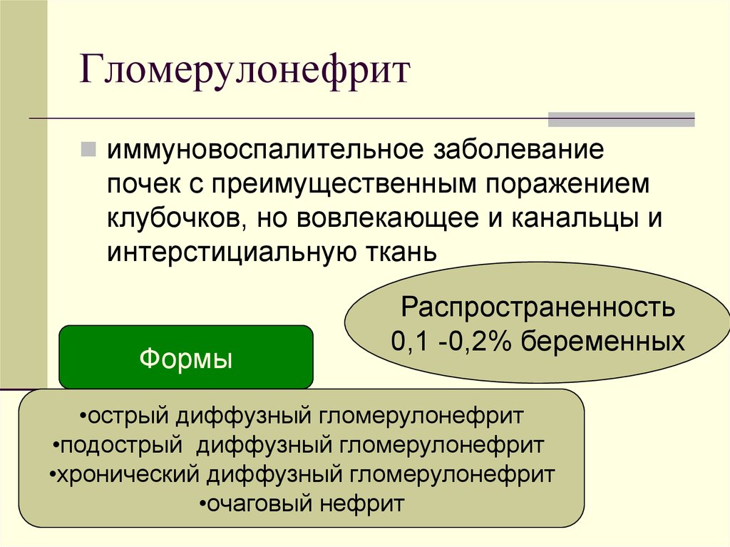 Доклад: Патология почек и беременность