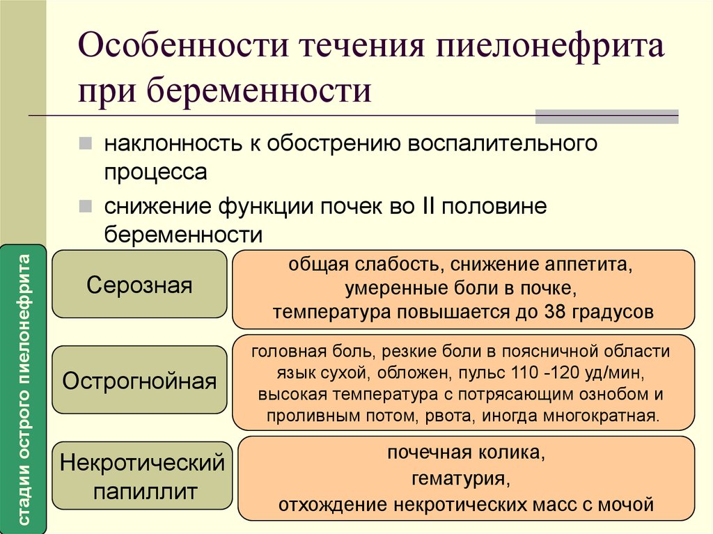 Доклад: Патология почек и беременность