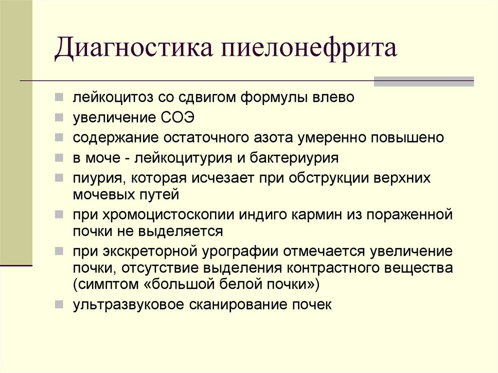 Доклад: Патология почек и беременность