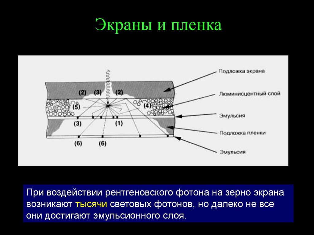 Пластина покрытая люминофором для преобразования рентгеновского изображения из невидимого