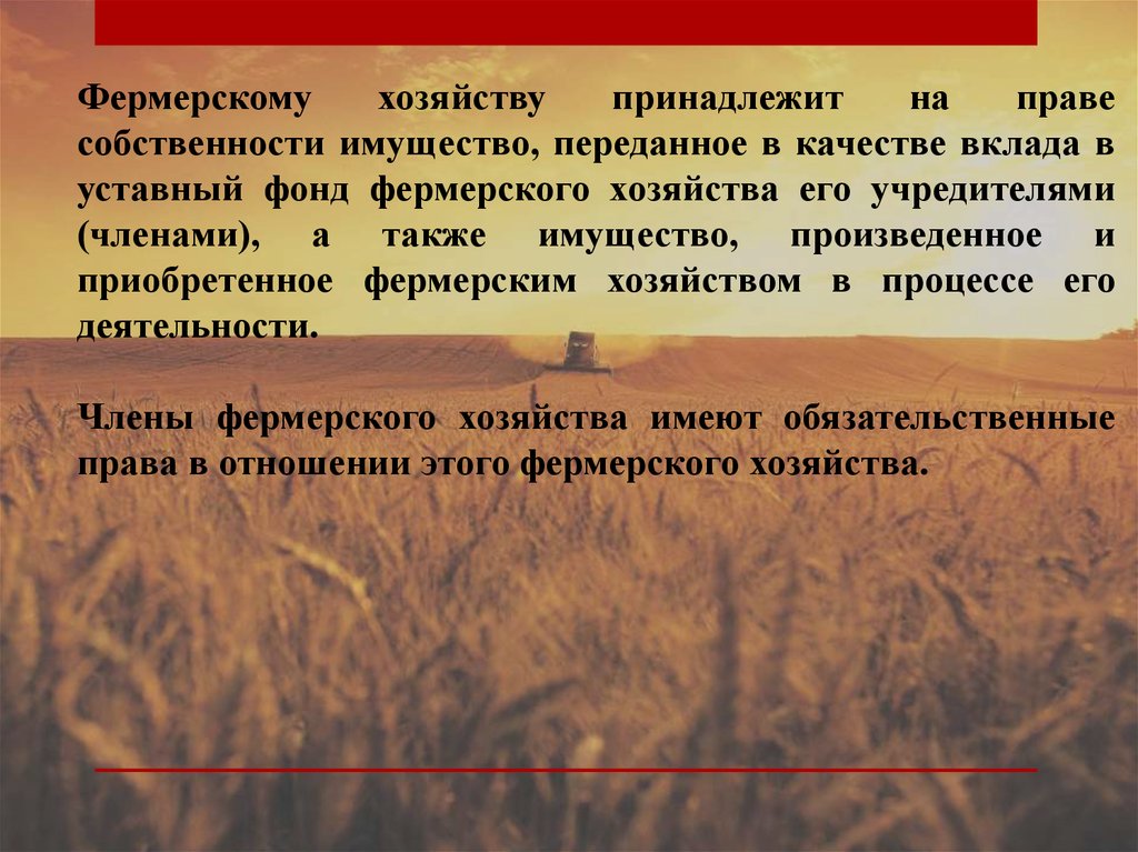 Форма собственности фермерского хозяйства. Фермерское хозяйство принадлежащее. Правовой режим имущества в хозяйственном обороте кратко. Прававое режим имущества в хозяйственной обороте источники.