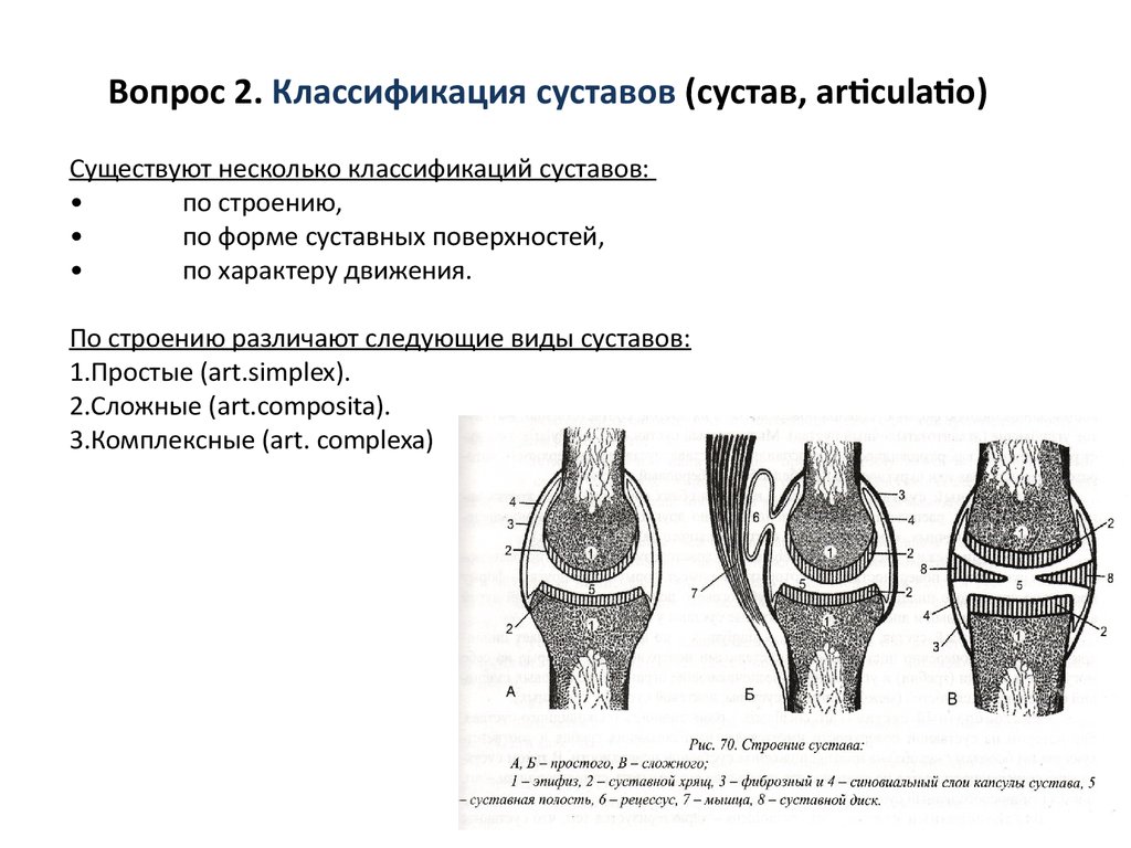 Схема движения суставов. Анатомическая классификация суставов. Классификация суставов по форме суставных поверхностей и функции. Соединение костей строение сустава классификация суставов. Строение сустава типы суставов по строению и подвижности.