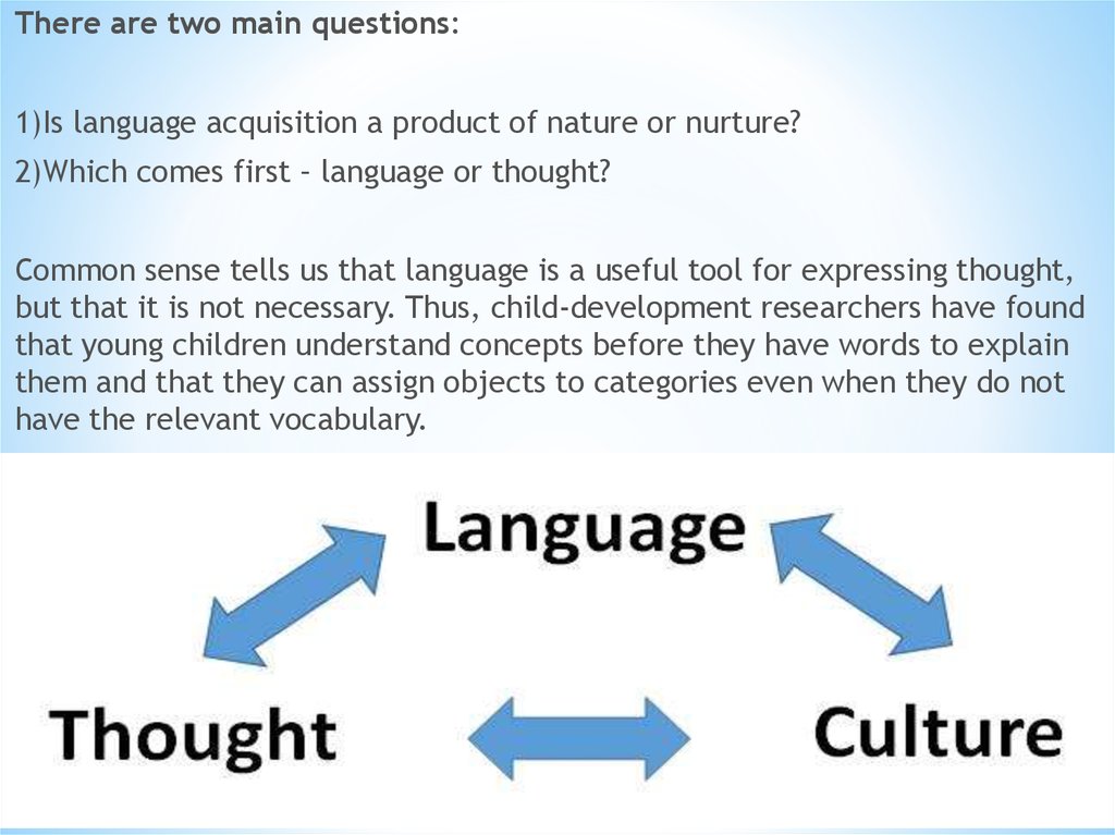 culture and language essay