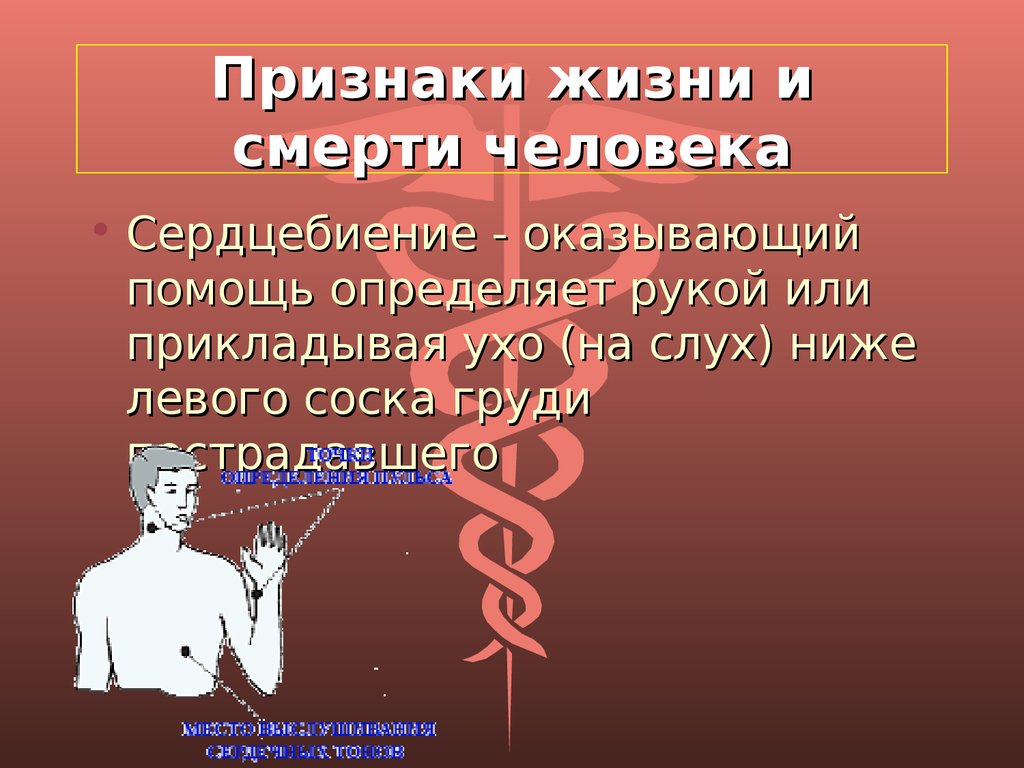 Признаки жизни человека. Признаки жизни и смерти человека. Выявление признаков жизни и смерти. Признаки жизни признаки смерти.