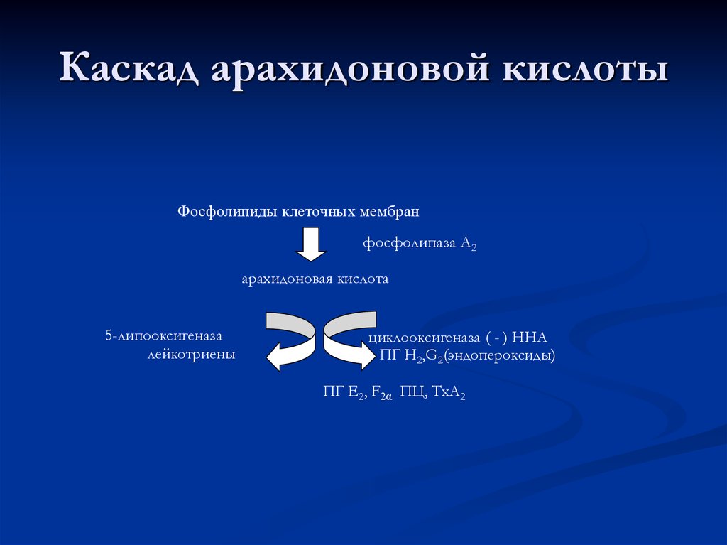 Каскад арахидоновой кислоты схема