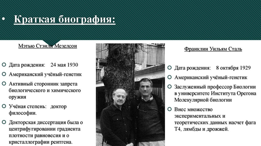 Краткая биография: