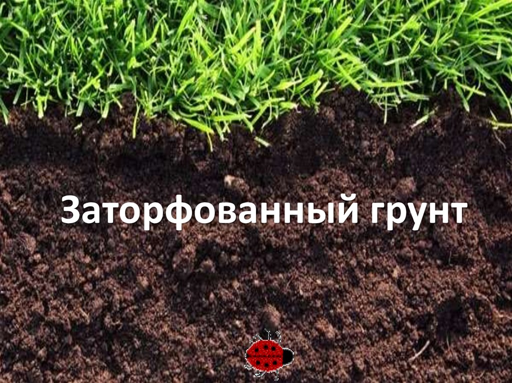 Заторфованный грунт - презентация онлайн