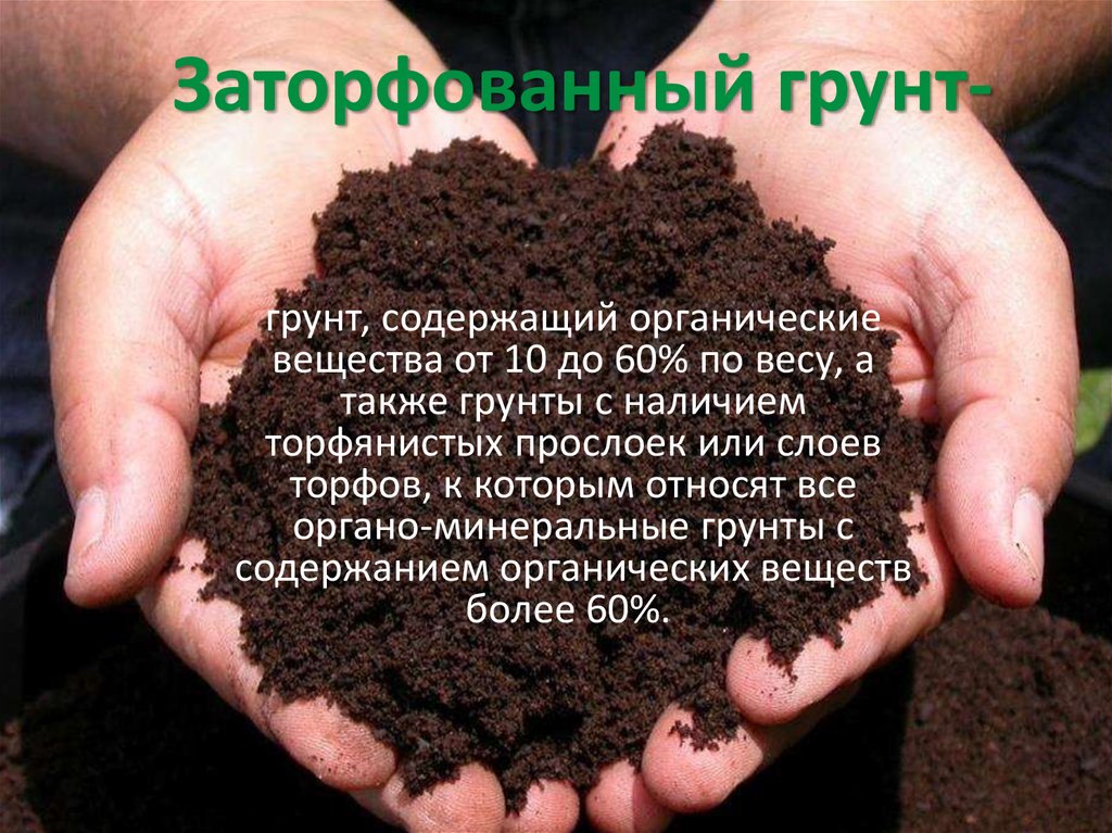 Заторфованный грунт - презентация онлайн