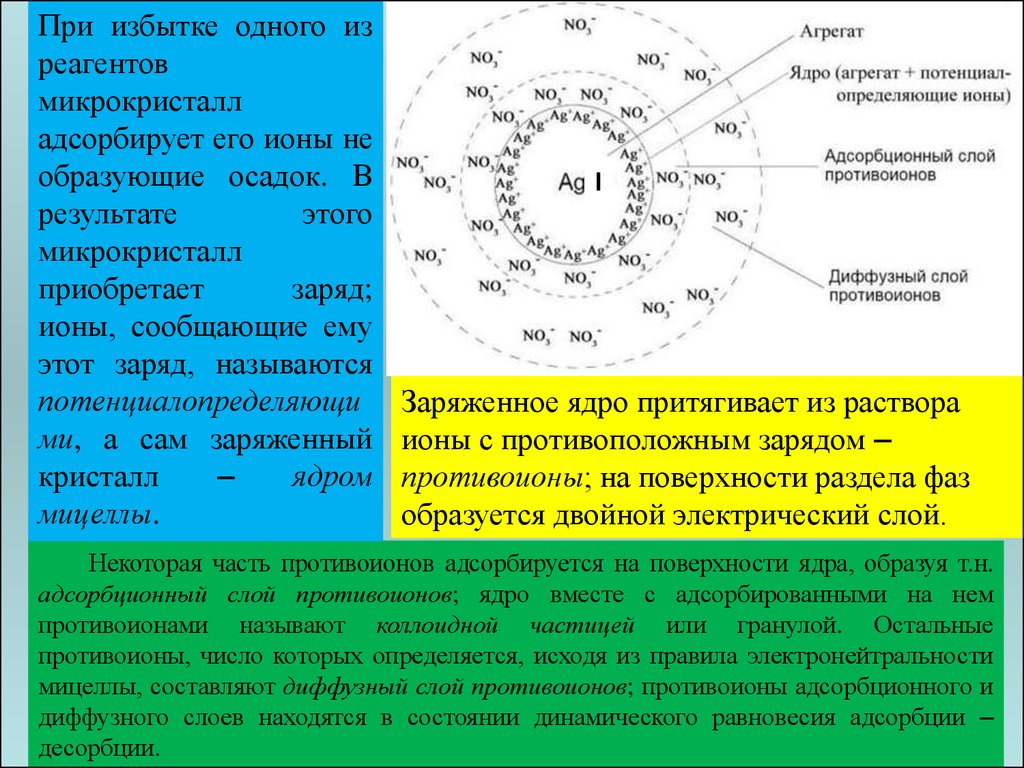 Узнать ядро. Противоионы в мицелле. Коллоидная частица в мицелле. Строение коллоидной частицы мицеллы. Коллоидная частица мицелла Золя строение.