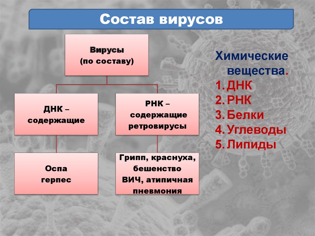 Урок презентация 9 класс. Тема вирусы по биологии 9 класс. Вирусы конспект. Вирусы биология 10 класс. Вирусы презентация.