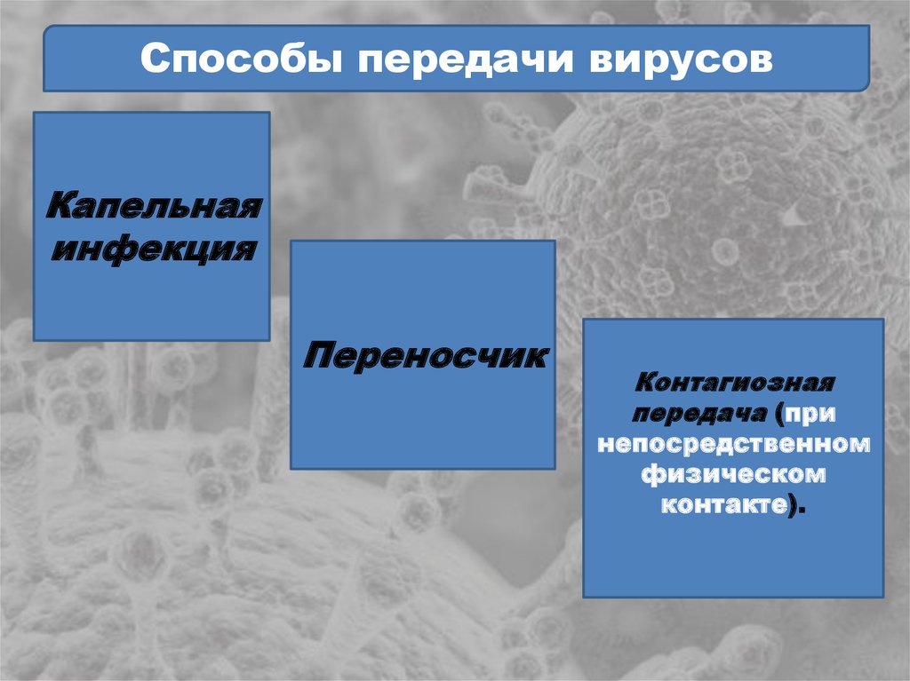 Пути вирус. Способы передачи вирусов. Пути передачи вирусов. Способы передачи вирусных заболеваний. Метод передачи вируса.