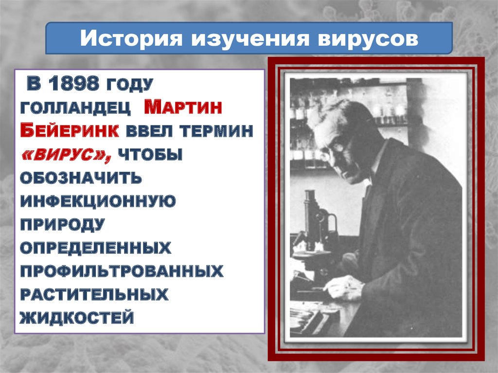 Рассказ изучили. Бейеринк 1898. Бейеринк вирусология. История изучения вирусов. Термин вирус ввел.