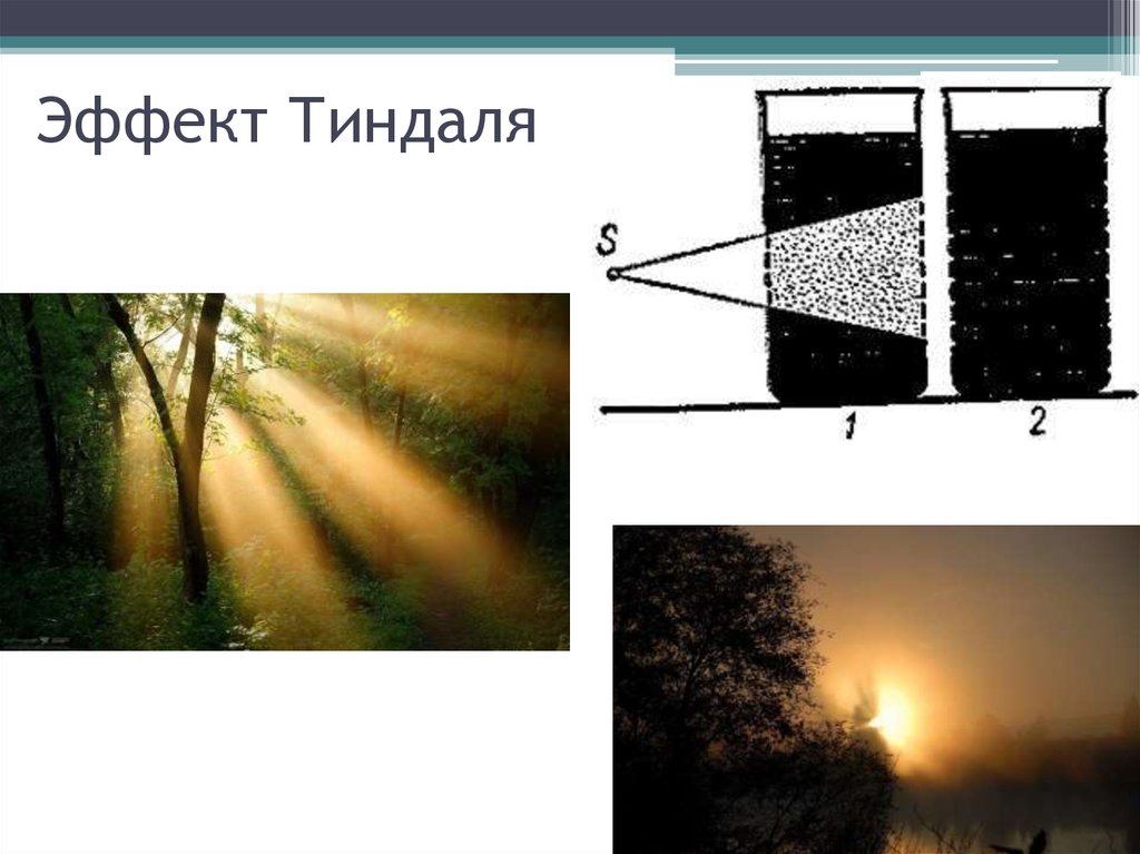 Эффект дика. Явление Фарадея Тиндаля. Рассеивание света эффект Тиндаля. Конус Фарадея-Тиндаля. Эффект Тиндаля коллоидная химия.