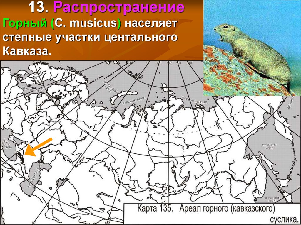 Корюшка ареал обитания карта