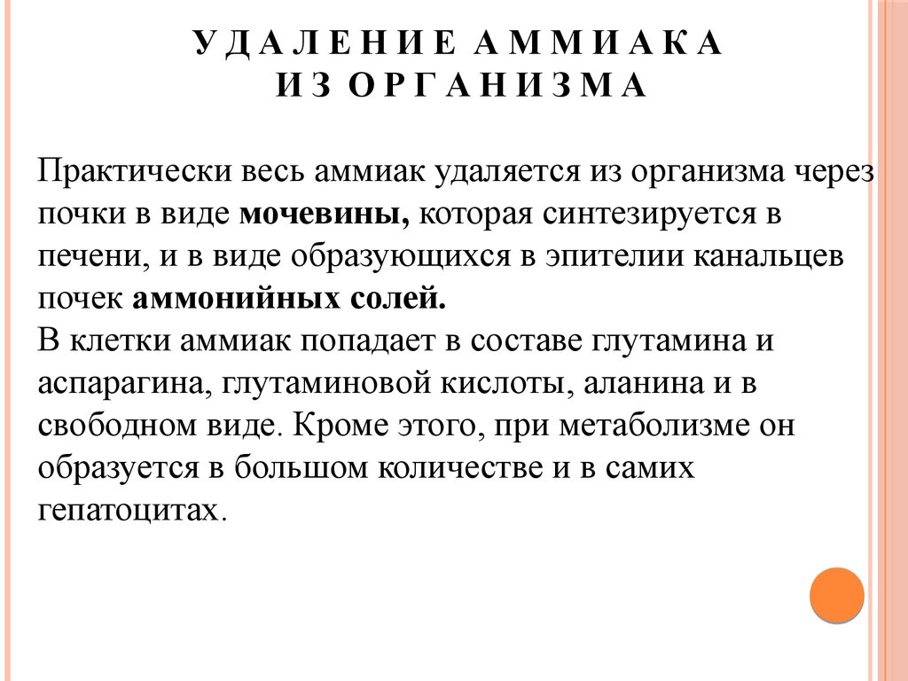 Вывод аммиака. Вывод аммиака из организма. Способы выведения аммиака из организма. Пути выведения аммиака из организма. Как вывести аммиак из организма человека.