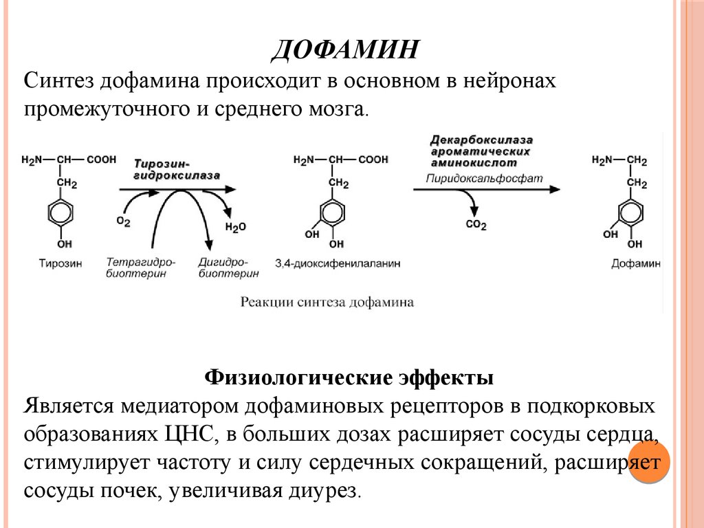 Адреналин образуется. Реакция синтеза дофамина. Реакция образования дофамина. Дофа дофамин реакция. Синтез дофамина биохимия.