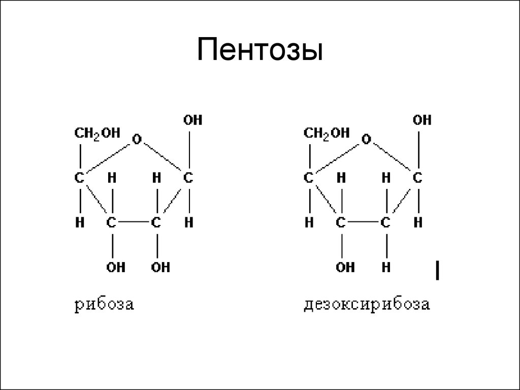 Рибоза глюкоза дезоксирибоза. Пентоза структурная формула. Пентоза химическая структура. Пентоза рибоза формула. Пентоза циклическая формула.