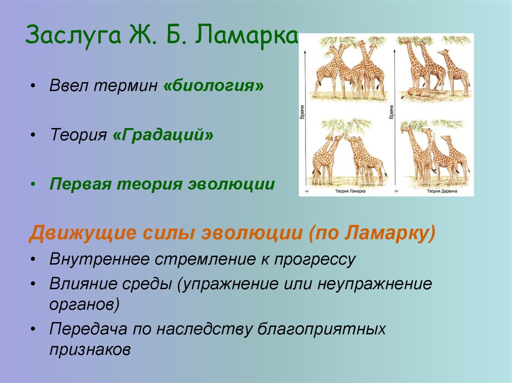 Теория дарвина 9 класс биология