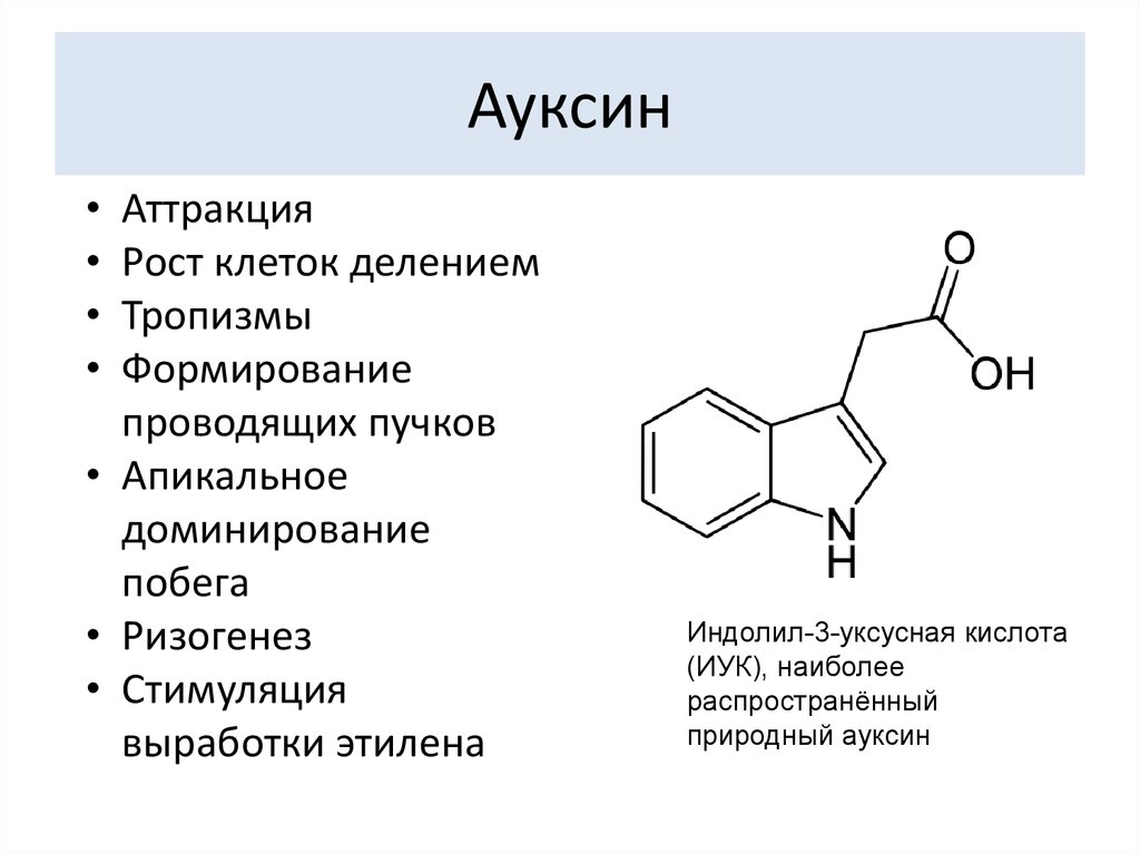 Фитогормоны действие. Гормон ауксин у растений. Химическая формула ауксина. Ауксины строение. Фитогормон ауксин.